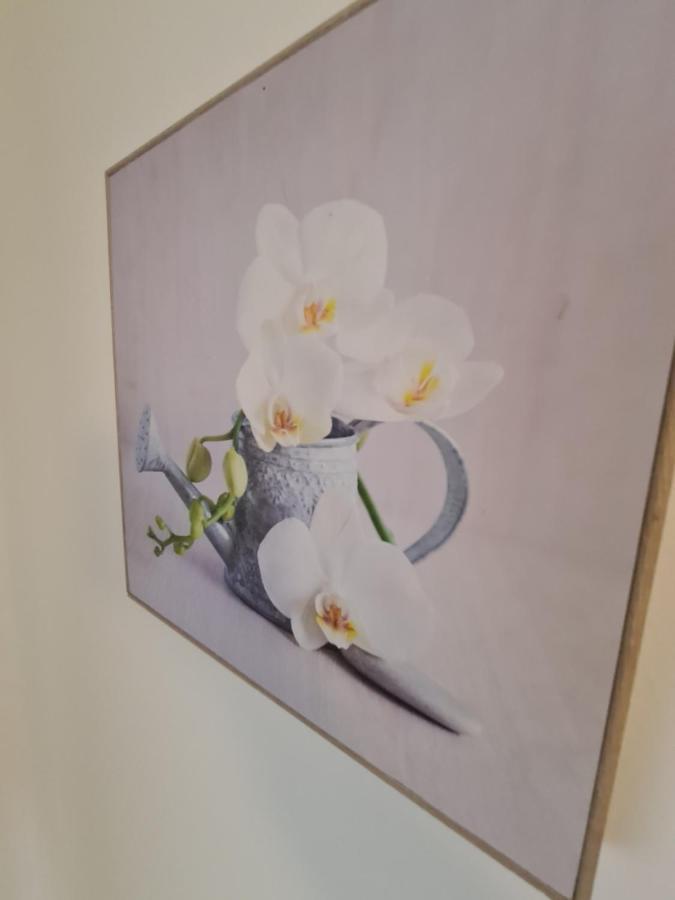 Zseki Apartman Hajdúszoboszló Buitenkant foto